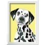CreArt pictura pe numere pentru copii caine dalmatian